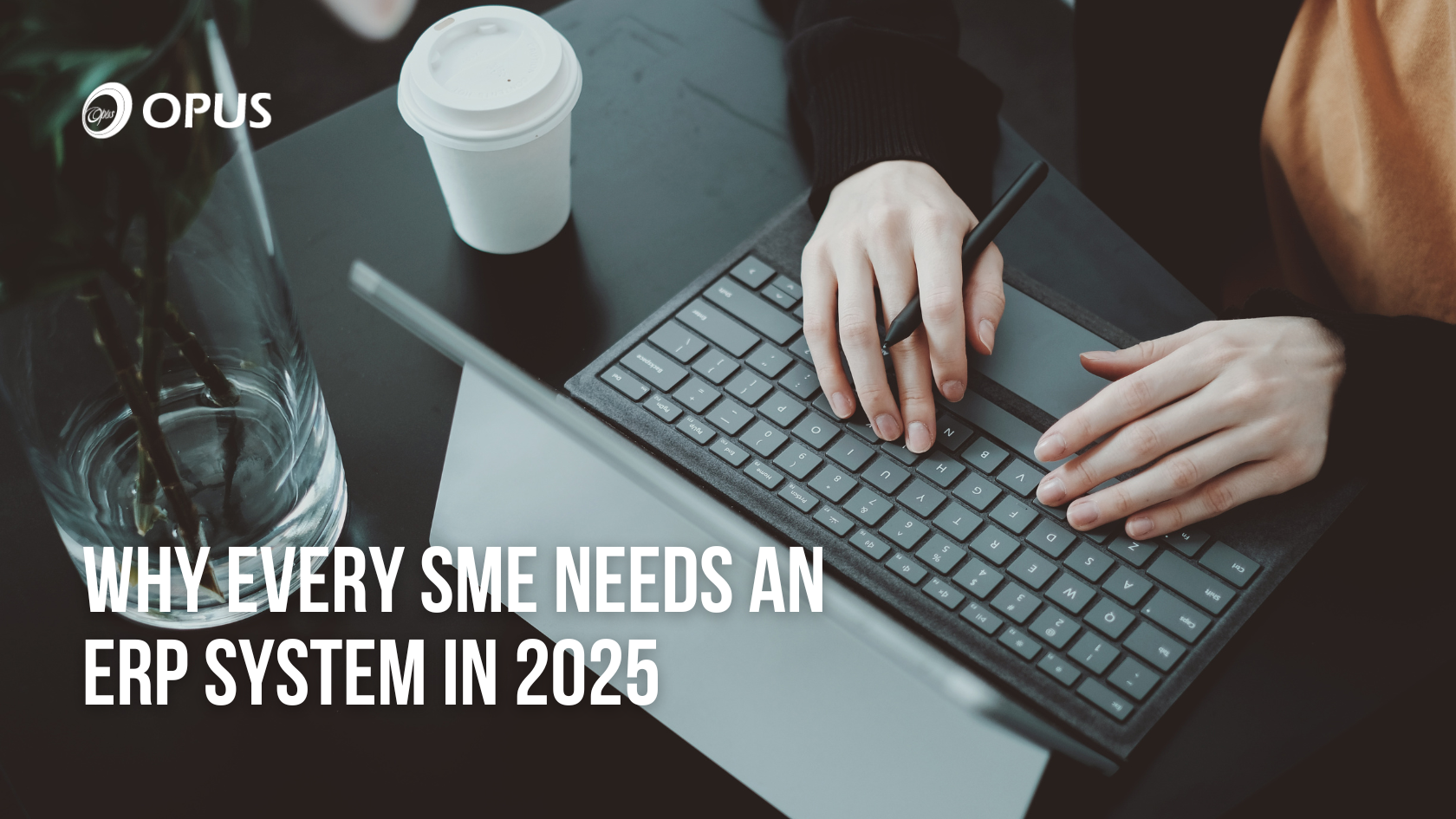 Why Every SME Needs an ERP System in 2025