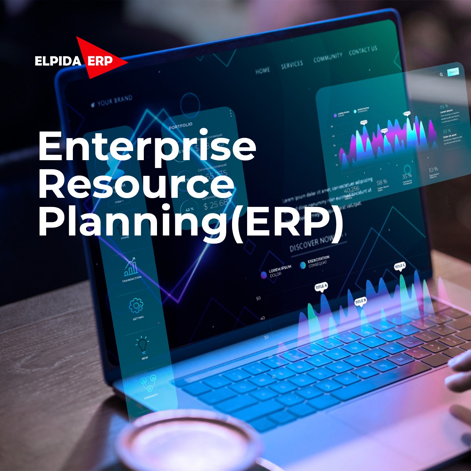 Enterprise Resource Planning-erp