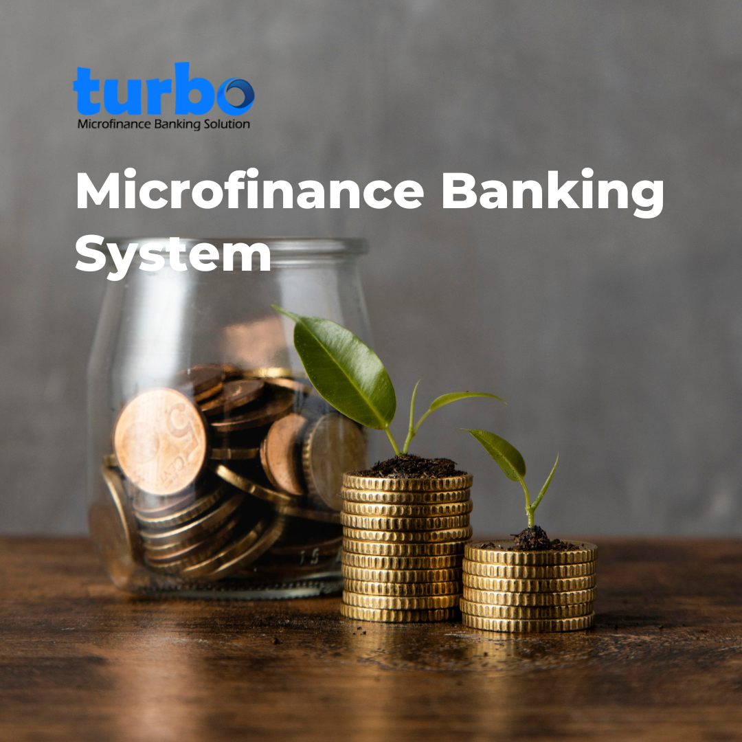 Microfinance Banking System