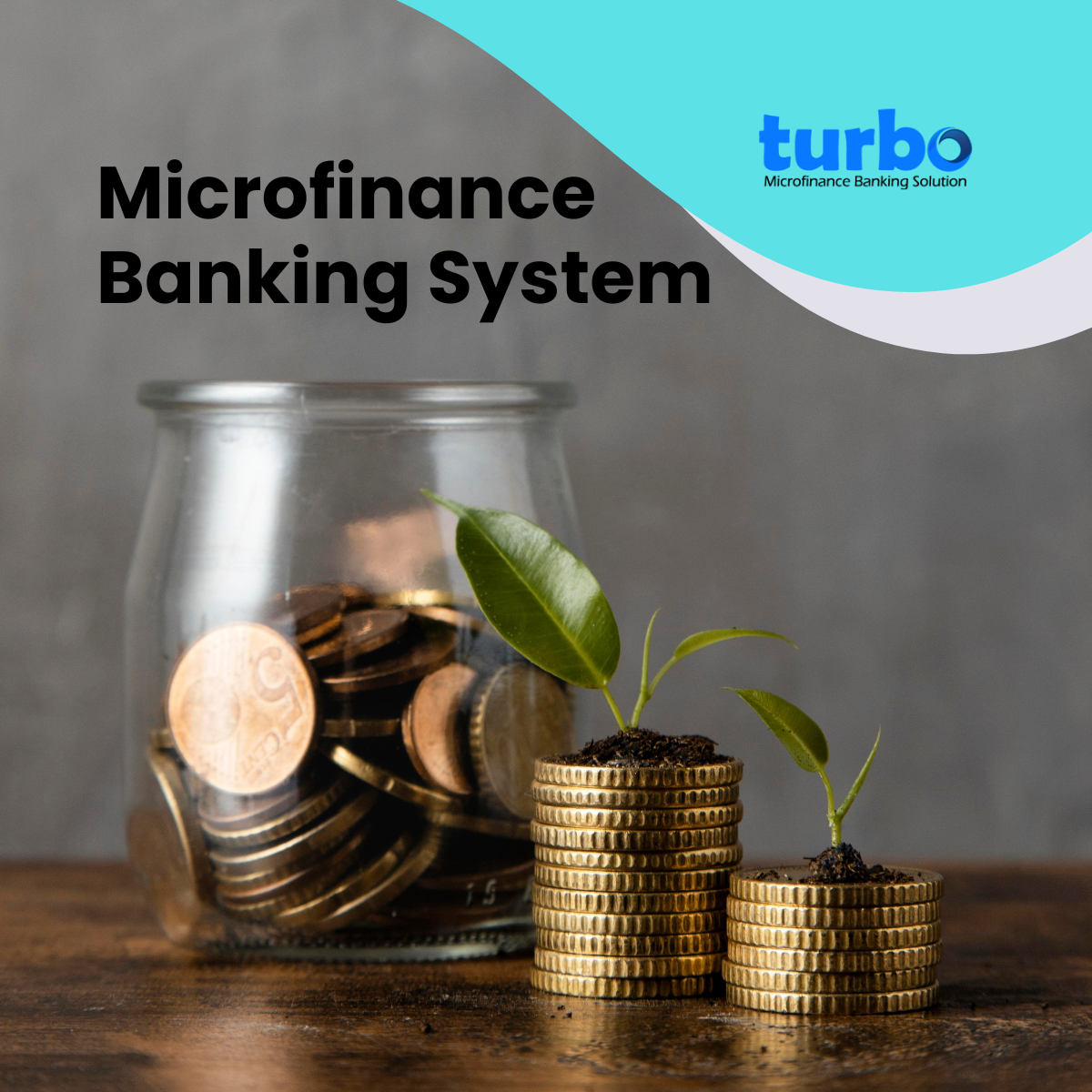Microfinance Banking System